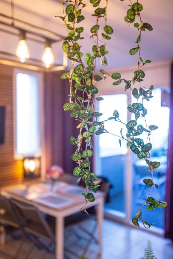 Superbe Appartement - Terrasses - Clim - Parking Prepaye Ла-Валетт-дю-Вар Экстерьер фото